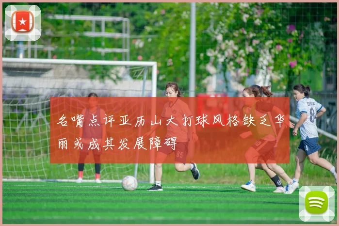 名嘴点评亚历山大打球风格缺乏华丽或成其发展障碍