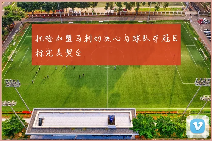 托哈加盟马刺的决心与球队夺冠目标完美契合