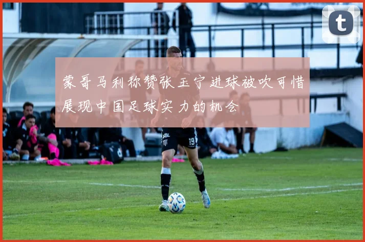 蒙哥马利称赞张玉宁进球被吹可惜展现中国足球实力的机会