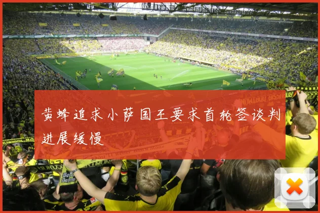 黄蜂追求小萨国王要求首轮签谈判进展缓慢